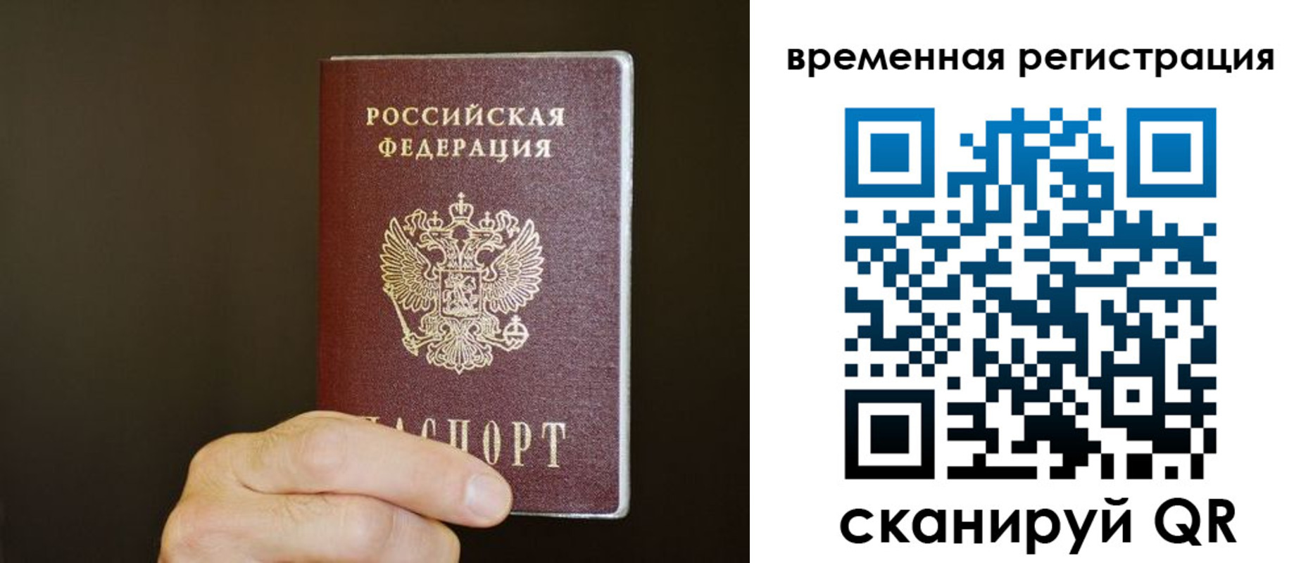 прописка гарантия в Красноярске